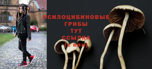 спиды Абинск