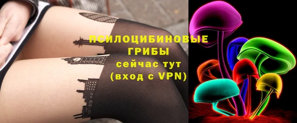 apvp Алексин