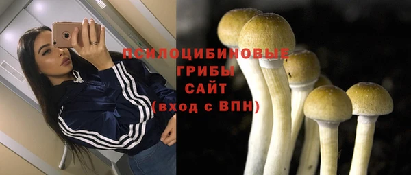 кокс Алзамай