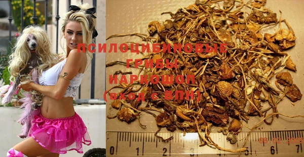 кокс Алзамай