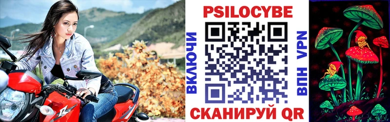 купить закладку  Родники  Галлюциногенные грибы Psilocybe 